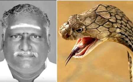 पिता के नाम थी करोड़ों की बीमा पॉलिसी, बेटों ने रची मर्डर की खौफनाक साजिश, जानें पूरा मामला