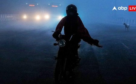 Weather Forecast: 'घना कोहरा, घुप्प अंधेरा और दो राज्यों में बारिश', मौसम विभाग ने जारी की चेतावनी, जानें कहां पड़ेगी कितनी ठंड