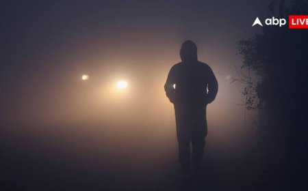 घने कोहरे की चपेट में उत्तर भारत, दिल्ली-एनसीआर में ठंड की मार, कल यूपी में कैसा रहेगा मौसम