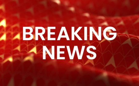 उन्नाव रेप केस: कुलदीप सेंगर की जमानत को चुनौती देगी CBI, सुप्रीम कोर्ट में दायर करेगी याचिका 