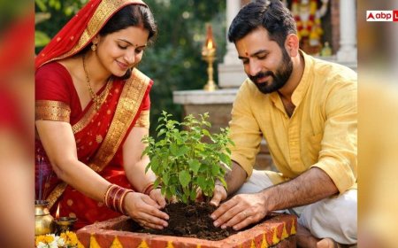 Tulsi: स्त्री या पुरुष किसे लगाना चाहिए तुलसी का पौधा, कब मिलेगा ज्यादा पुण्य