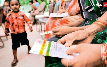 कोई काम का नहीं रहेगा वॉलेट में रखा पैन कार्ड, अगर 31 दिसंबर तक नहीं कराया ये काम; चेक करें डिटेल