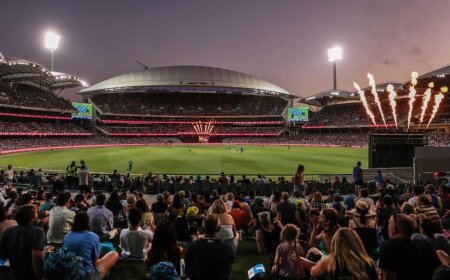 कभी नहीं देखा होगा ऐसा रोमांचक मैच! कई बार पलटी बाजी; अंतिम 30 गेंद में नहीं बने 36 रन