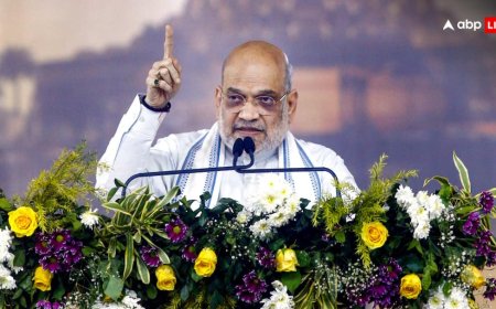 'राहुल बाबा को हार से थकना नहीं चाहिए क्योंकि...', अमित शाह ने गुजरात में गिनाए कांग्रेस की हार के कारण