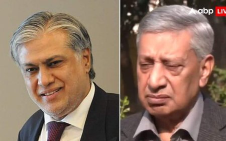 'भारत ने 36 घंटों में पाकिस्तान में कई ड्रोन भेजे थे...', इशाक डार के बयान पर J&K के पूर्व DGP क्या बोले?