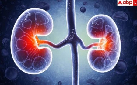 Kidney Disease Symptoms: पेशाब में झाग से लेकर सांस फूलने तक… किडनी की बीमारी के ये संकेत भूलकर भी न करें नजरअंदाज