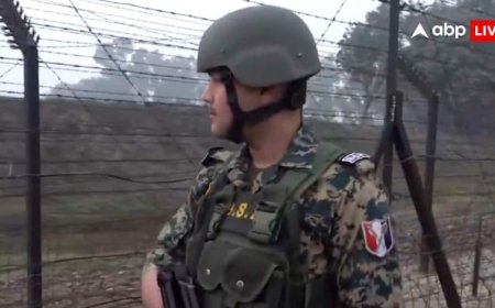 New Year Celebration 2026: नए साल के जश्न में खलल डालने की फिराक में पाकिस्तान? लॉन्च पैड एक्टिव, हिमाकत की तो...