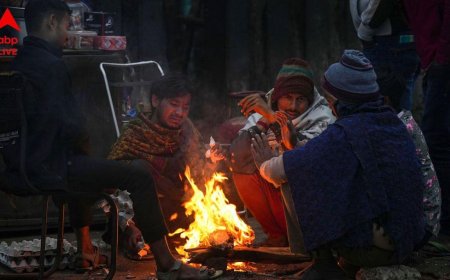 West Bengal: पश्चिम बंगाल में ठंड का कहर, उत्तर-दक्षिण के 10 जिलों में घने कोहरे की चेतावनी, जानें मौसम का हाल