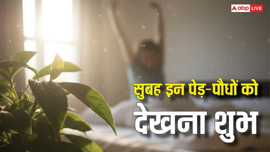 Morning Vastu Tips: सुबह उठते ही इन पेड़-पौधों के दर्शन हो जाएं, तो समझिए दुख दरिद्रता हुई दूर