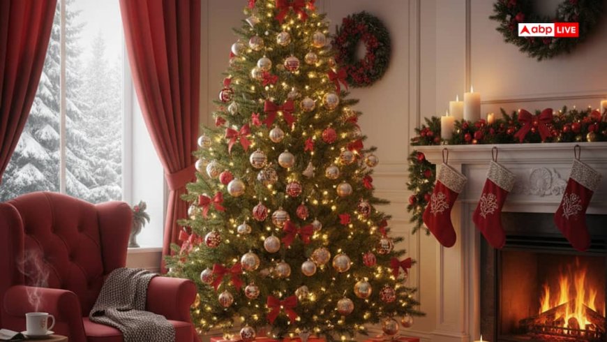 Christmas 2025: क्रिसमस पर क्या दें? ये 5 वास्तु उपहार घर में लाते हैं खुशहाली और पॉजिटिव एनर्जी