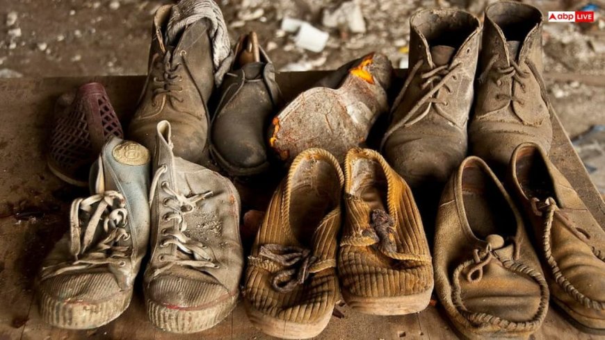 Vastu Tips: क्या आपके फटे जूते बन रहे हैं आर्थिक नुकसान की वजह? जरूर करें वास्तु से जुड़े ये उपाय