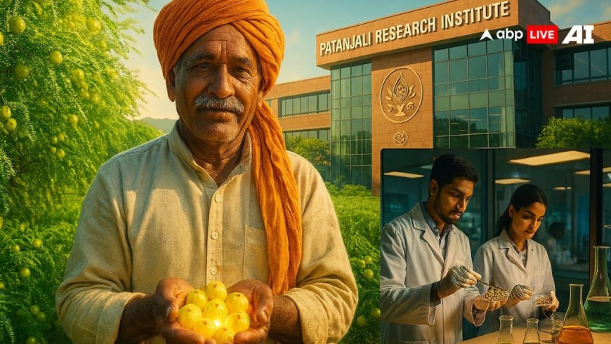 वेस्ट टू वेल्थ: बेकार नहीं हैं आंवला के बीज, पतंजलि की रिसर्च ने दुनिया को चौंकाया!