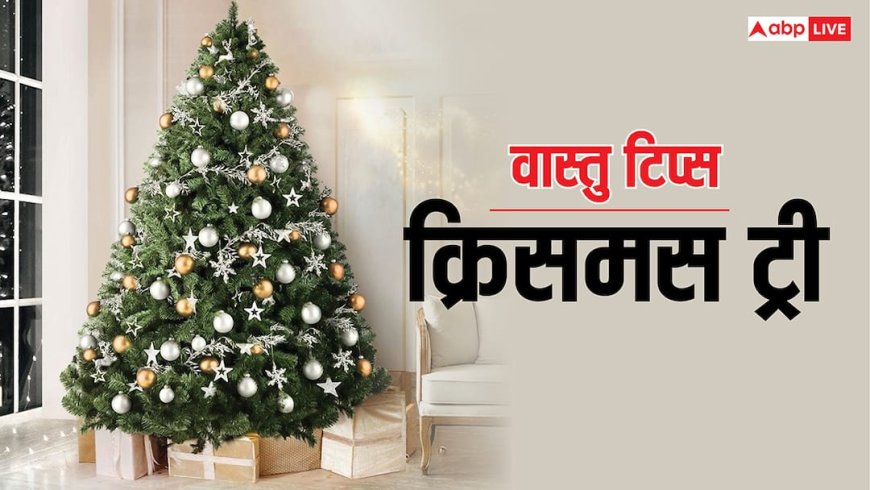 Vastu Tips: वास्तु दोष दूर करता है क्रिसमस ट्री, बस इसे घर में सही जगह पर लगाएं