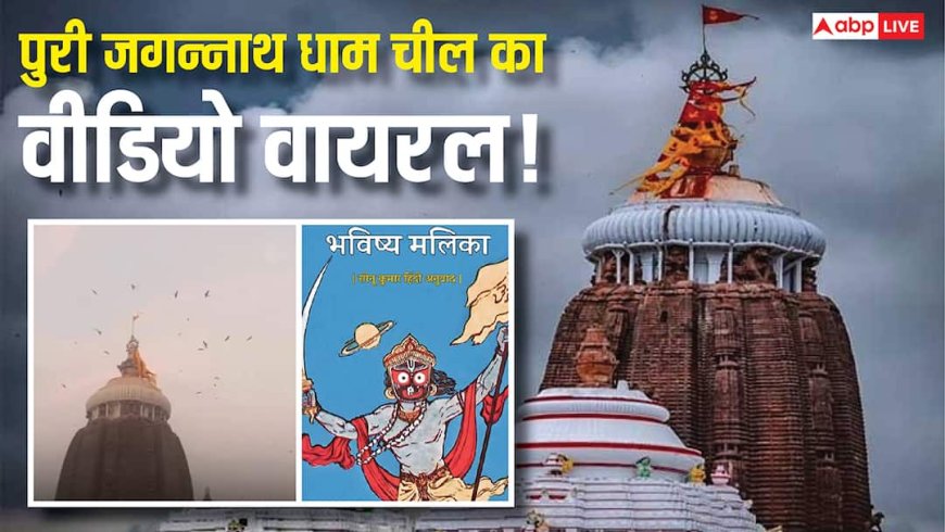 जगन्नाथ मंदिर के शिखर पर चीलों के झुंड का वीडियो वायरल! भविष्य मालिका की भविष्यवाणियां फिर चर्चा में!