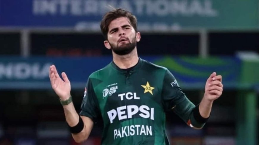ऑस्ट्रेलिया में शाहीन अफरीदी की घनघोर बेइज्जती, डेब्यू मैच में हो गया ये कांड, जानें पूरा मामला