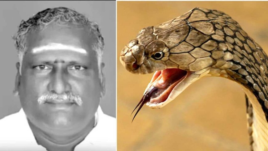 पिता के नाम थी करोड़ों की बीमा पॉलिसी, बेटों ने रची मर्डर की खौफनाक साजिश, जानें पूरा मामला