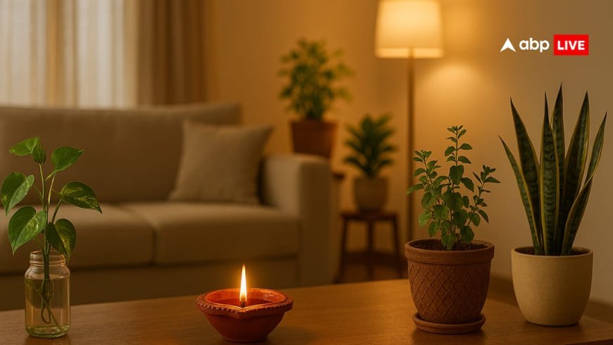 नया साल 2026 आने से पहले घर में लाएं ये 9 चीजें! तनाव दूर होने के साथ नेगेटिव एनर्जी होगी दूर