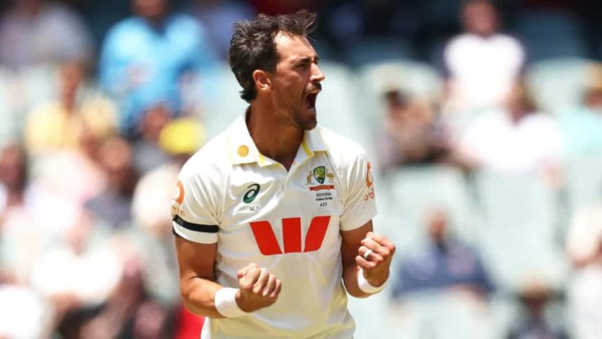 Year Ender: 2025 में टेस्ट क्रिकेट में सबसे ज्यादा विकेट लेने वाले 10 गेंदबाज, मिचेल स्टार्क नंबर-1; देखें फुल लिस्ट