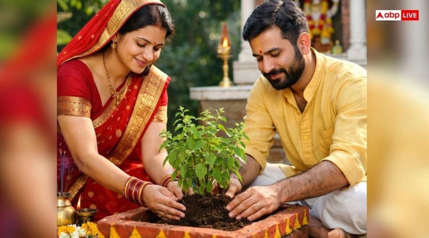 Tulsi: स्त्री या पुरुष किसे लगाना चाहिए तुलसी का पौधा, कब मिलेगा ज्यादा पुण्य