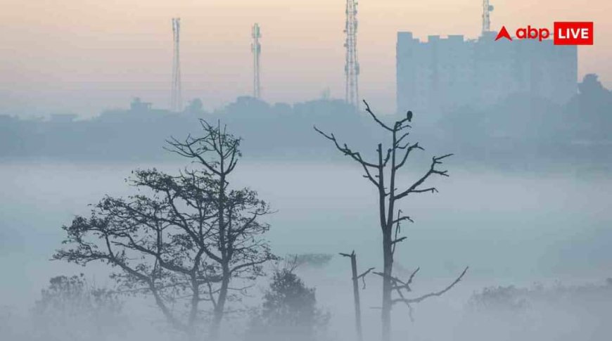 कोहरे में लेट हो रहीं उड़ानें, ऐसे चेक करें अपनी फ्लाइट का लाइव स्टेटस
