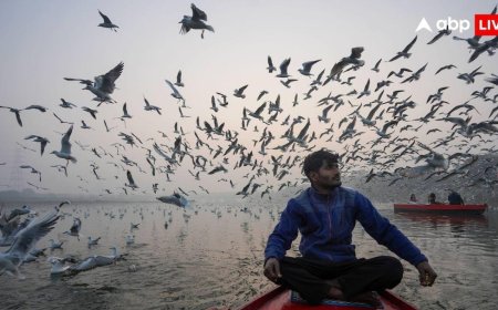 कहीं बारिश तो कहीं भयंकर ठंड, कश्मीर से लेकर केरल तक नए साल के पहले दिन देश में कैसा रहेगा मौसम?