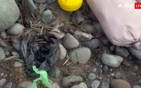 नए साल पर गंदी हरकत से बाज नहीं आया पाकिस्तान, ड्रोन से भारत में भेजा गोला-बारूद, अलर्ट पर एजेंसियां