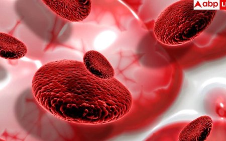 How To Clean Blood Arteries: क्या सिर्फ हेल्दी फूड खाने से साफ हो जाती हैं खून की नसें? 99 पर्सेंट लोग कर बैठते हैं ये गलतियां