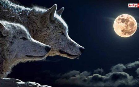 Wolf Moon Paush Purnima 2026: साल की पहली पौष पूर्णिमा पर आसमान में दिखेगा वुल्फ मून, जानिए समय