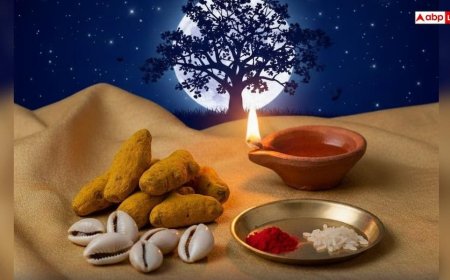 Paush Purnima 2026 Upay: पौष पूर्णिमा पर करें हल्दी कौड़ी का उपाय, मां लक्ष्मी आएंगी आपके द्वार