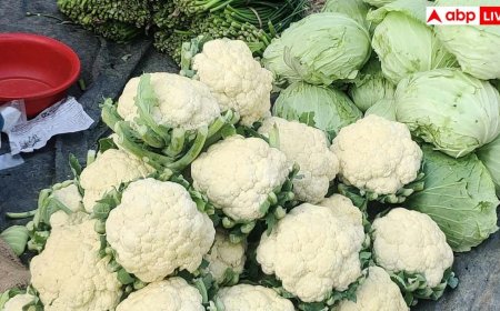 पत्ता गोभी के कीड़े से 18 साल के स्टूडेंट की मौत, पत्तेदार सब्जियां खाते वक्त किन बातों का रखें ध्यान?