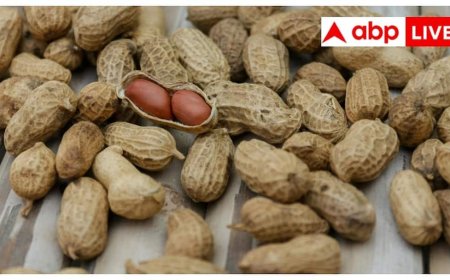 कहीं जरूरत से ज्यादा मूंगफली तो नहीं खा रहे आप, जानें एक दिन में कितनी खाना सही?