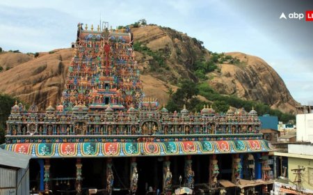 'मंदिर में दिया जलता रहे...', मद्रास HC से तमिलनाडु सरकार को झटका, जानें दीपम विवाद का पूरा अपडेट