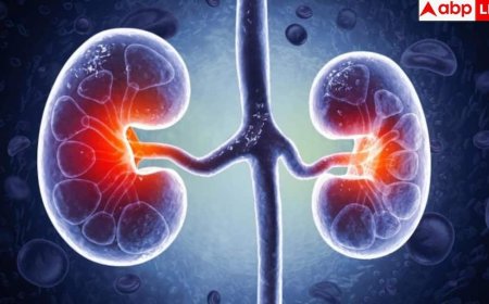 Kidney Damage Signs: हाथ-पैरों पर सबसे पहले दिखते हैं किडनी डैमेज के ये लक्षण, ये 5 साइन तो 99% कर देते हैं इग्नोर