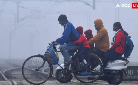 Weather Forecast: यूपी-दिल्ली, बिहार से पंजाब हरियाणा तक मौसम विभाग की चेतावनी, जानें देश में ठंड का टॉर्चर कितना?