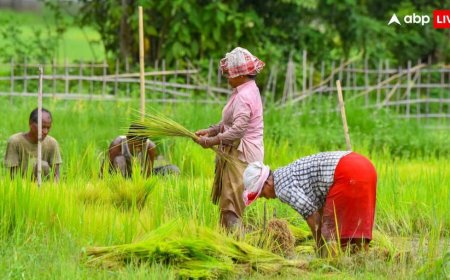 कब से किसानों को मिलेगा लगेगा KCC पर 5 लाख तक का लोन? बजट में वित्त मंत्री ने किया था ऐलान