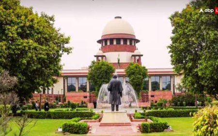 सुप्रीम कोर्ट ने सार्वजनिक इमारतों और सड़कों से कुत्तों को हटाने पर एक बार फिर दिया जोर, कहा- कुत्ता काटेगा या नहीं, इसे कोई कैसे समझ सकता है?