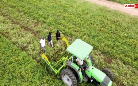 Budget 2026: किसानों को मिलेगी बड़ी राहत? पीएम किसान योजना की रकम बढ़ने की उम्मीद, जानें डिटेल