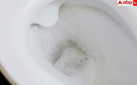 Toilet Flushing Hygiene: सावधान! टॉयलेट फ्लश करते समय खुली सीट बन सकती है बीमारियों की वजह, रिसर्च में हुआ बड़ा खुलासा