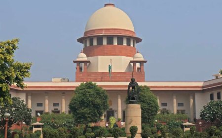 'बिल्लियां चूहों की दुश्मन, संख्या बढ़ानी चाहिए', आवारा कुत्तों पर सुनवाई के बीच क्यों बोला सुप्रीम कोर्ट?