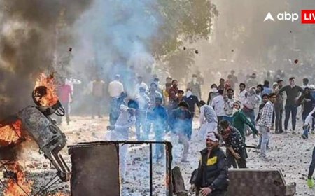 2020 Delhi Riots: दिल्ली दंगों की साजिश में 'मुन्ना' को नहीं मिली जमानत, 5 आरोपियों को रिहा कर चुका है SC, जानें क्या है मामला