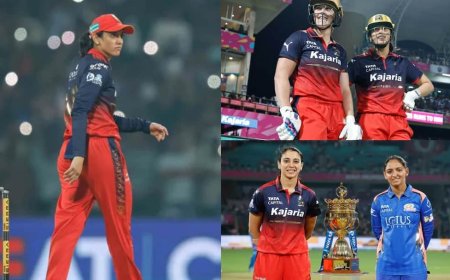 MI vs RCB Highlights: 6, 4, 6, 4..., आखिरी 4 गेंदों में चाहिए थे 18 रन, नदीन डी क्लर्क ने रच दिया इतिहास; हारी हुई बाजी जीती आरसीबी