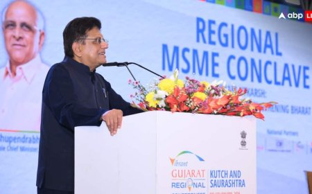 यूरोपीय यूनियन के साथ कहां तक पहुंची फ्री ट्रेड डील को लेकर बातचीत? पीयूष गोयल ने दिया अपडेट, अमेरिका संग डील पर कही ये बात