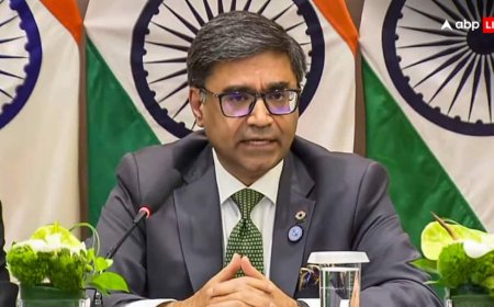 कौन है बेबी अरिहा शाह, जिसका मुद्दा भारत ने जर्मनी के सामने उठाया, विदेश सचिव ने क्या बताया?