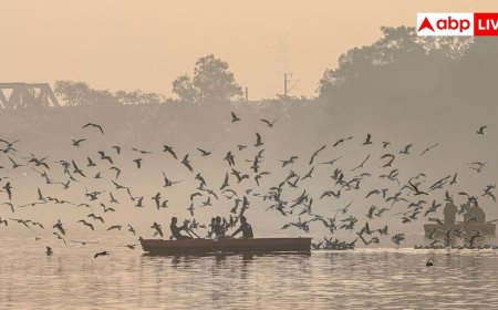 दिल्ली में डल लेक जैसा लेना है मजा? इस घाट पर मात्र 100 रुपये में मिलेगी पूरी वाइब