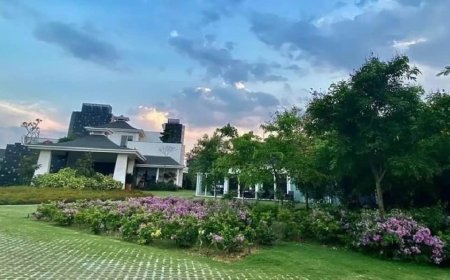 एमएस धोनी से रवींद्र जडेजा तक, किसी आलीशान महल से कम नहीं हैं इन 5 क्रिकेटर्स का बंगला