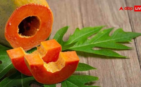 डेंगू होने पर सेहत के लिए पपीते के पत्ते कितने फायदेमंद? डॉक्टरों ने बताई सच्चाई