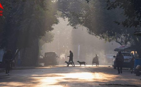 West Bengal: बंगाल में कम हो रही सर्दी! कुछ दिनों में 2-3 डिग्री बढ़ेगा तापमान, जानें मौसम विभाग ने क्या बताया