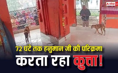 हनुमान जी की मूर्ति के चक्कर लगाते कुत्ते का वीडियो वायरल, लोगों ने भैरव बाबा का अवतार बताया