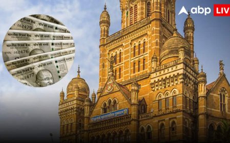 BMC Election Results 2026: BMC चुनाव का रिजल्ट आज, 35 फीसदी उम्मीदवारों के पास करोड़ों की संपत्ति, देखें धनकुबेरों की पूरी लिस्ट