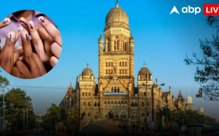 BMC Election Results 2026: BMC चुनाव में किन सीटों पर महामुकाबला! जानें कौन, कहां कितना मजबूत